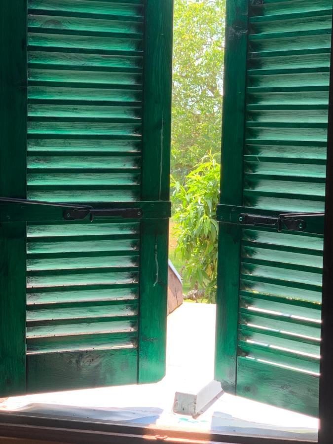 Chambres D' Hotes La Lison Tintry Dış mekan fotoğraf
